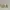 Sylvanian Bundling Baby Labrador, Mouse, And Bear 