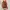 Vivienne Westwood Luxury Crossbody Bag Wanita multicolor photo 4