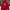 DC Shoes Streetwear Skater Hoody Pria Red