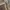 Beauty & Youth Camo
100 % Cotton Canvas
Size tag L photo 3