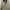 Casual Harrington jacket Pria gray cream photo 1