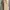Long Coat  photo 3