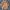 Jacket Vintage Royal Hunt Classic Hunter Parka Indie photo 3