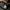Adidas Indie Casual Sneakers Pria brown black photo 8