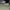 Converse Vintage Casual Sneakers Pria white photo 1