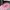 Diadora Sportswear Sneakers Wanita pink photo 3