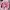 Diadora Sportswear Sneakers Wanita Pink