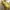 Whimsygoth Yellow Milkmaid Top photo 6