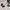 Polo Ralph Lauren Vintage Y2K Polo shirt Pria white navy photo 2