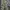 Stussy Vintage Casual Suit Pria Multicolor