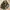 Cosplay Hat Kids multicolor photo 2
