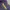 Dickies Vintage Sweater Pria navy yellow photo 1