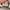 Vans authentic anaheim cow photo 5