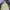 Stone island junior sz12 photo 3