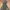 RARE VINTAGE 1982 M65 FIELD GERMANY MILITARY SCHWARZ SULZBAC photo 4