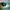 Stussy Crewneck Gradient Mint Green photo 3