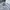 Polo Ralph Lauren Casual Harrington Jacket Pria Multicolor