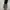 Long Shi Plaid Cargo Jorts Pants photo 5
