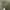 Uniqlo Military Ripstop Green Army Double Pocket photo 7