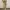 Motel Rocks Y2K Casual Flare Pants Wanita White Brown