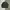 Uniqlo Streetwear Casual Sweater Pria green photo 1