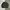 Uniqlo Streetwear Casual Sweater Pria Green