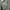 Hoodei nike big logo aop photo 5