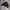 Lafudge Gorpcore Casual Windbreaker Pria black photo 1