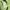 FCMM Streetwear Casual Sweater Pria green photo 3