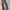 TRUE RELIGION JOY SUPER T FLARED DENIM photo 3