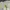 Vintage Y2K T-shirt Pria gray photo 4