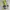 Vintage Y2K T-shirt Pria gray photo 2