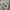 Uniqlo Streetwear Casual Sweater Pria gray photo 4