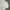 Le Coq Sportif Streetwear Casual Sweater Pria white photo 1