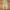 DICKIES 874 MEXICO KHAKI WORK WEAR FIELD PANTS photo 3