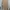 ZARA Luxury Sweater Wanita tan photo 2