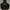 THISISNEVERTHAT HOODIE