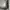 Gorpcore Hoody Pria white photo 4