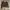 ZARA Vintage Casual Sweater Wanita khaki brown photo 2