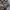 Vintage Harrington jacket Lucio Sesti not uniqlo not polo photo 9