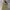 Dickies WorkPants 874 Original Fit Khaki photo 6