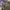 FLIGHT JACKET VINTAGE BOULEVARD photo 6