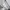 thisisneverthat Streetwear Skater Hoody Pria gray photo 6