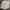 Polham Casual Formal shirt Pria white gray photo 5