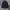 Jacket Zipper Champion Athleticwear Navy Blue Style photo 3