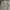 Calvin Klein Casual Formal shirt Pria white black photo 6
