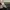 Lululemon pants photo 6