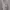 Hoodie Zip Be One Soul Light Grey Style photo 10