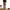Uniqlo Minimalist Casual Formal pants Pria tan photo 1