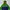 Windbreaker Jacket Colorblock The North Face 